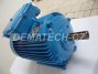 Elektromotor MEZ F180L04339