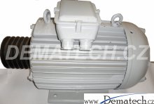 Elektromotor MEZ, F 250 M04 18